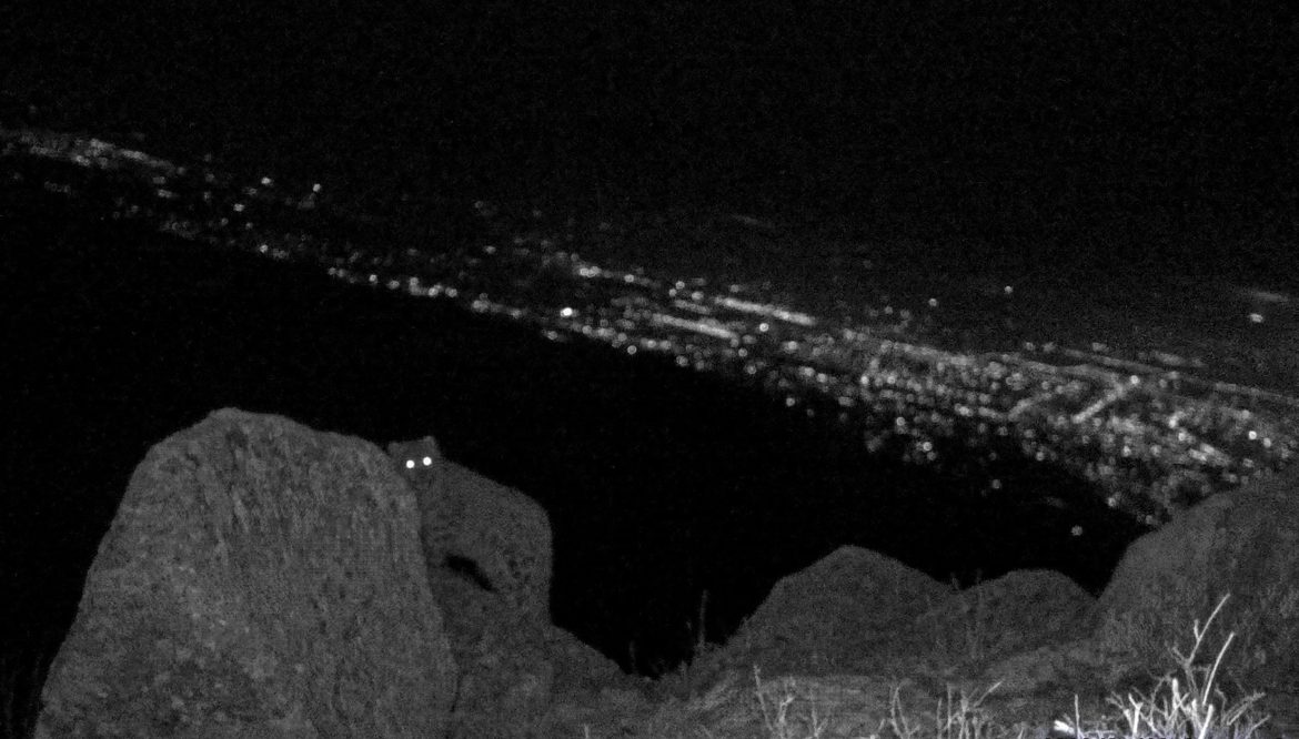 В Республике Казахстан начал свою деятельность  Проект «Разработка инструментов оценки эффективности природоохранных мероприятий для сохранения снежного барса и вовлечения гражданского общества в защиту критических экосистем Северного Тянь-Шаня»