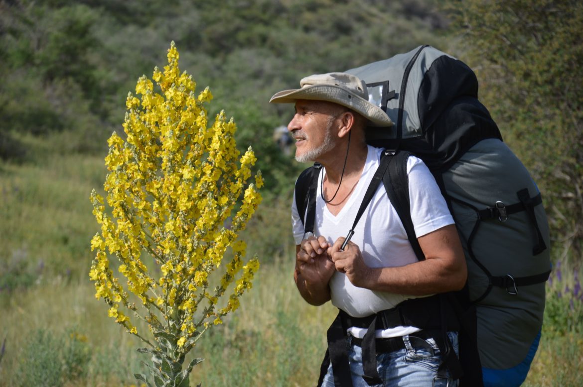 В Казахстане стартовал проект «Совершенствование компонента  экологического образования по определению видов животных и растений,  приоритетных для инвестиций CEPF, в школах Жуалынского района  Жамбылской области»